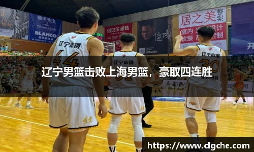 乐盈VI官网登录入口