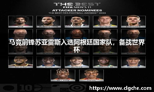 乐盈VI官网