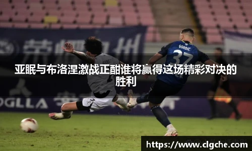 乐盈VI官网